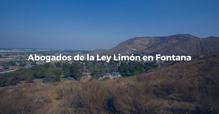 fontana ley limon