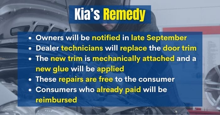 Kia Telluride Door Trim Recall Affects Over 200,000 Models