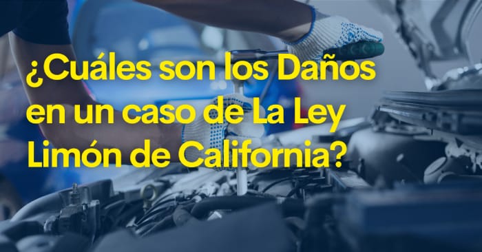 los daños en los casos de la Ley Limón en California