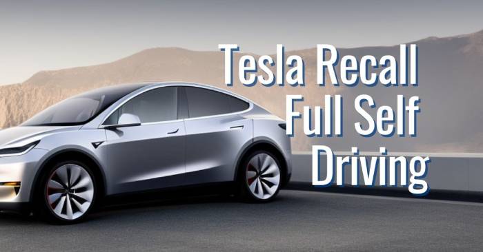 tesla full self driving lawsuit